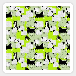 Sheep and Border Collie Sticker